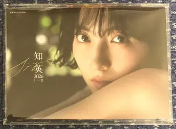 미개봉 KARA 지영 달력 2026