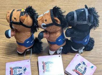 사라콜레 초코가케 체르비니아 데어링택트 리버티 아일랜드