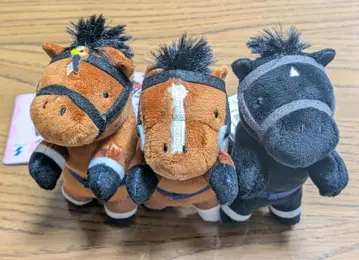 사라콜레 초코가케 체르비니아 데어링택트 리버티 아일랜드