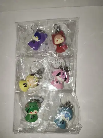 시쿠포니 메지루시 액세서리 6종 컴플리트