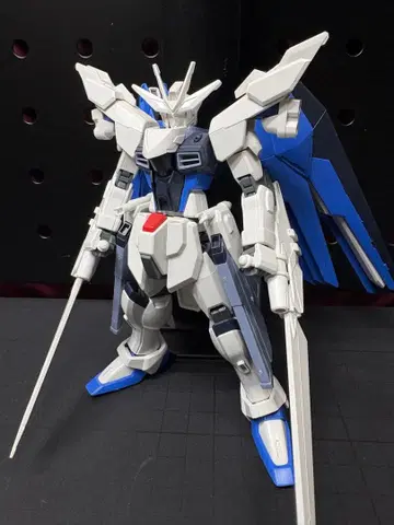 건담 프라모델 HGCE 프리덤 건담 + 커스텀 부품