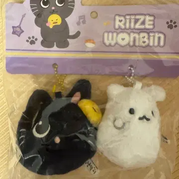 RIIZE 원빈 중국 상하이 팝업 키링