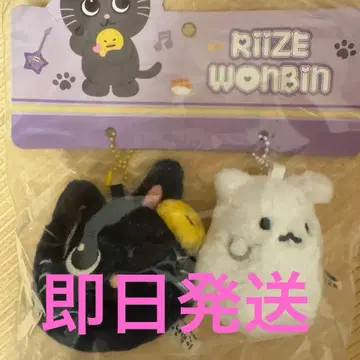 RIIZE 원빈 중국 상하이 팝업 키링