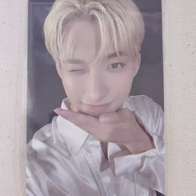 세븐틴 도겸 포카 포토카드