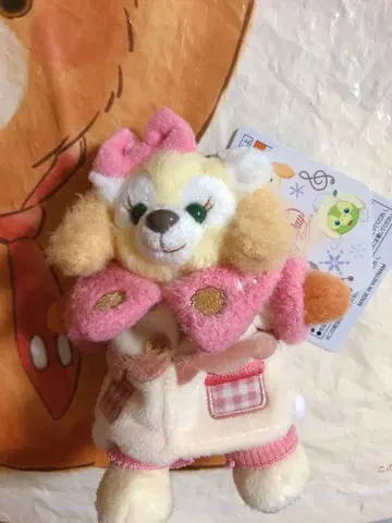 인형 배지 디즈니 쿠키앤 시크릿 오브 스노위데이