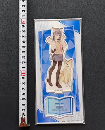 라이트 노벨전 2025 아크릴 스탠드 사쿠라지마 마이