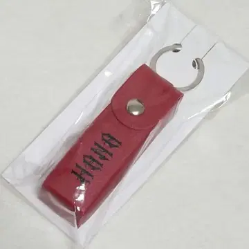 HANA 데뷔 직전 라이브 로고 립 케이스 한정판