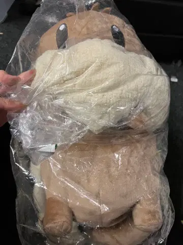 포켓몬 이브이 버튼의 이브이 백팩