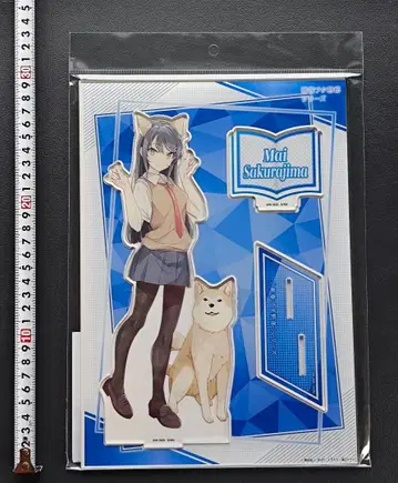 라이트노벨전 2025 BIG 아크릴 스탠드 사쿠라지마 마이