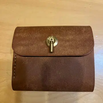 여행하는 고양이 비아지오