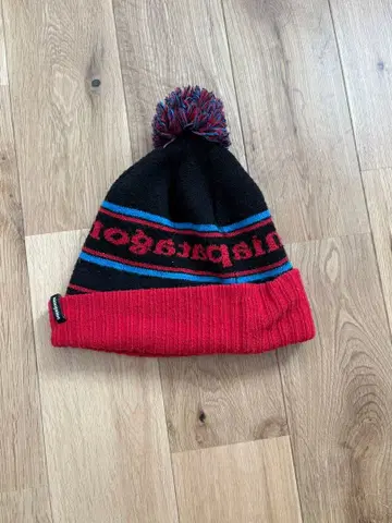 파타고니아 비니