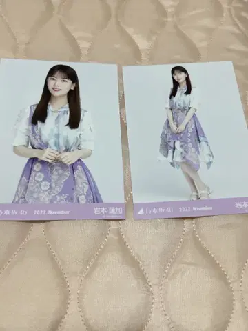 이와모토 렌카 2022년 11월 사진 2매 세트