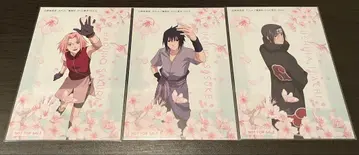 엽서 사쿠라 사스케 이타치