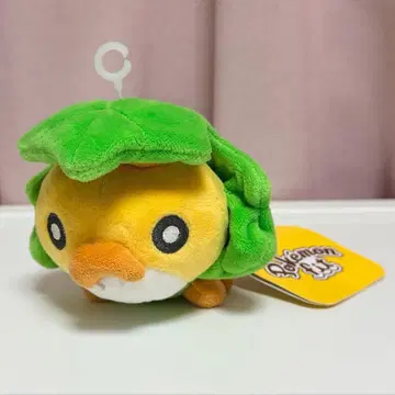 포켓몬 fit 쿠루루 봉제 인형 포켓몬