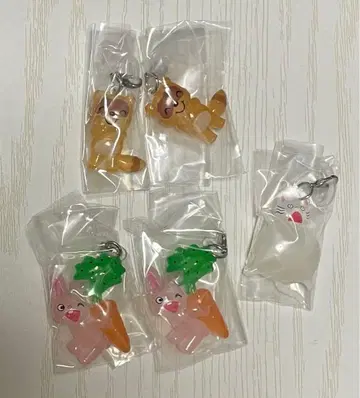 논탄 메지루시 액세서리 2 캡슐 토이 5개 세트