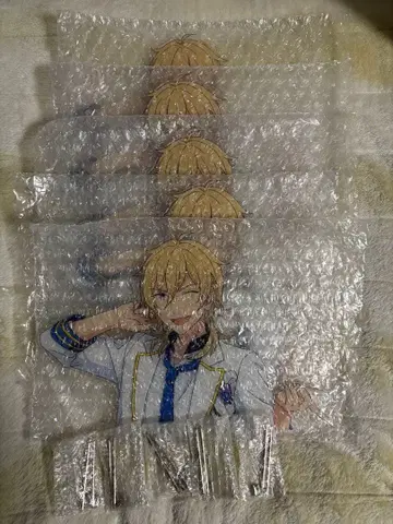 앙스타 함께 사는 아크릴 스탠드 히카제 카오루 5종 세트