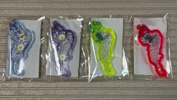 비와코 키링 메타세쿼이아 마가렛 묶음 판매 마키노 아이토