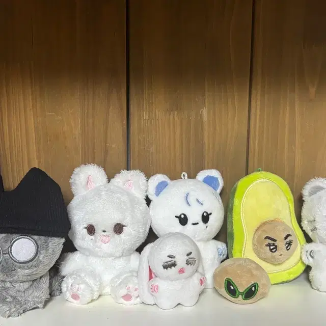 세븐틴 인형 일괄판매