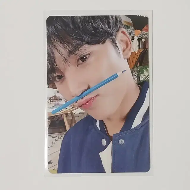 소비기한 세븐틴 민규 연필민규 포카