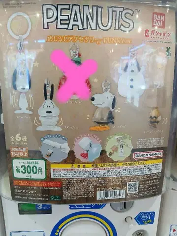 PEANUTS 메지루시 액세서리 FUNNY ver. C 이외 5종 세트