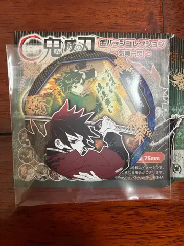귀멸의 칼날 중국 상하이 점프샵 한정판 캔뱃지 컬렉션 토미오카 기유