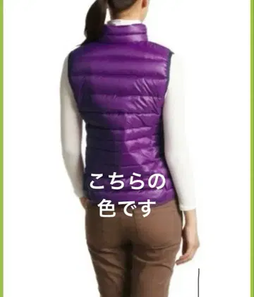 미사용품, 시착만 한 상품 Adam & Eve 퍼플 다운 베스트