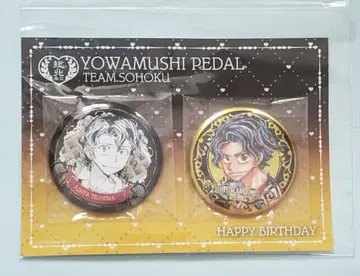 테지마 준타 벌스데이 캔뱃지 아키타 쇼텐