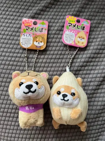 여행하는 마메시바 돗토리 한정판 볼체인 달린 마스코트 2개 세트