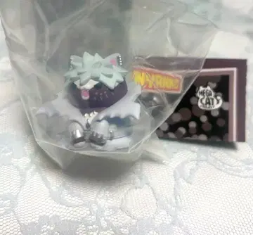 히로아카냥코 No.1 다비