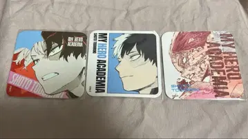 토도로키 쇼토 코스터 세트