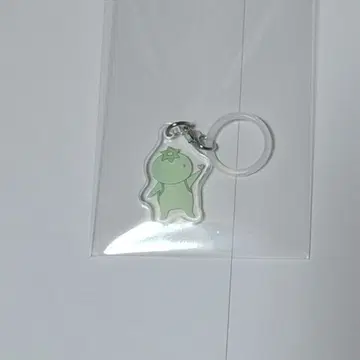 사쿠라자카 모리타 히카루 메지루시 참