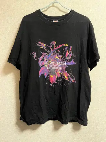 THE BACK HORN 앤트로기어 투어 티셔츠 L 사이즈