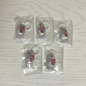 토도로키 쇼토 메지루시 액세서리