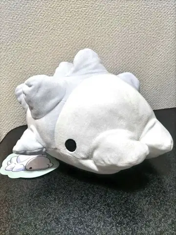 눈설왕 말랑 봉제 인형 포켓몬 센터