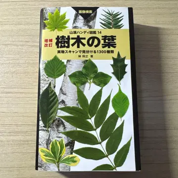 나무 잎 실물 스캔으로 구별하는 1300종 이미지 검색