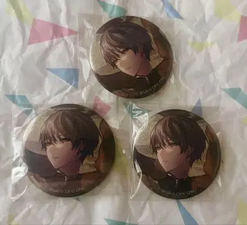 프로세카 그리캔 28c 아오야기 토야