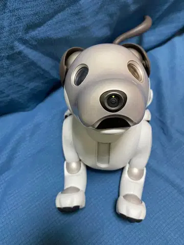 AIBO ERS-1000 아이보