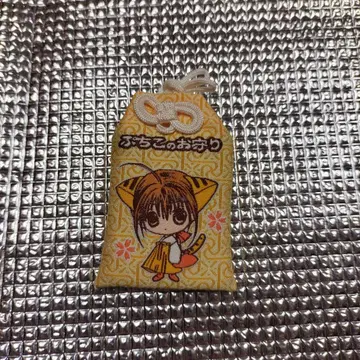 디지캐럿 푸치코의 부적 학업 성취 코게돈보