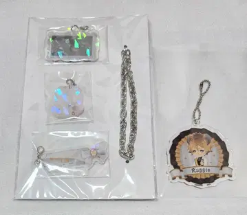 트위스티드 원더랜드 라기 부치 플라티나 의상 꾸미기 벌스데이