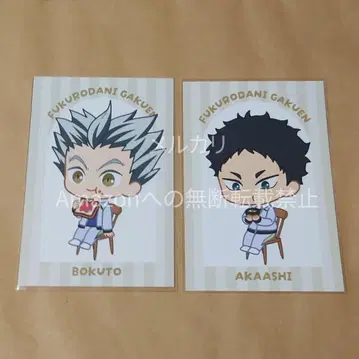 하이큐 점프 페스타 AMNIBUS 특전 엽서 보쿠토 아카아시