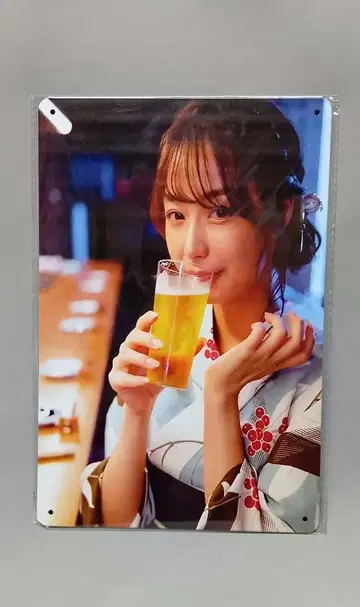 메탈 포스터 [주석 간판] 미녀 여자 아나운서