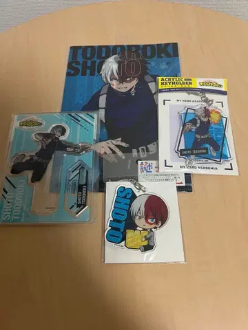 나의 히어로 아카데미아 토도로키 쇼토