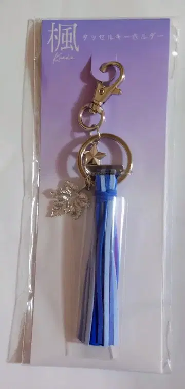 단풍/태슬 키링