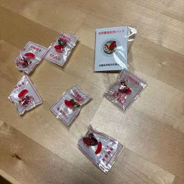 공동 모금 핀 배지