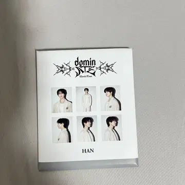 straykids dominATE 인스턴트 사진 세트 한