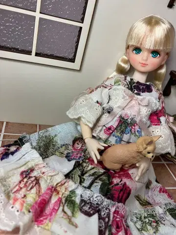 커스텀 인형 팔레트f 커스텀