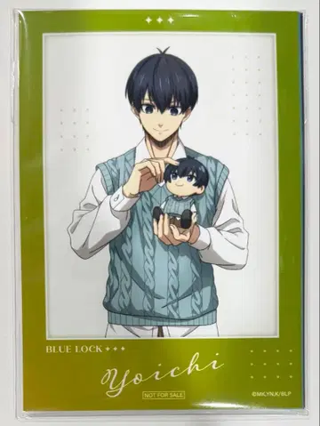 블루 록 다코 시리즈 특전 브로마이드 컴플리트 B상