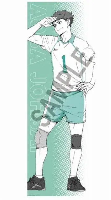 오이카와 토오루 BIG 패브릭 포스터