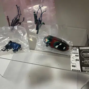 생물대도감 어드밴스 한묘(레드)