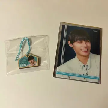 초특급 알로하 에마 클리어 카드 마루이